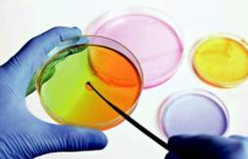 les-arees-de-microbiologia-i-bioquimica-de-l2019-lrc-acreditades-segons-la-norma-iso-15189.jpg