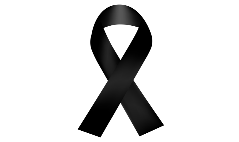 imagenes-notis-16-1730896875.png