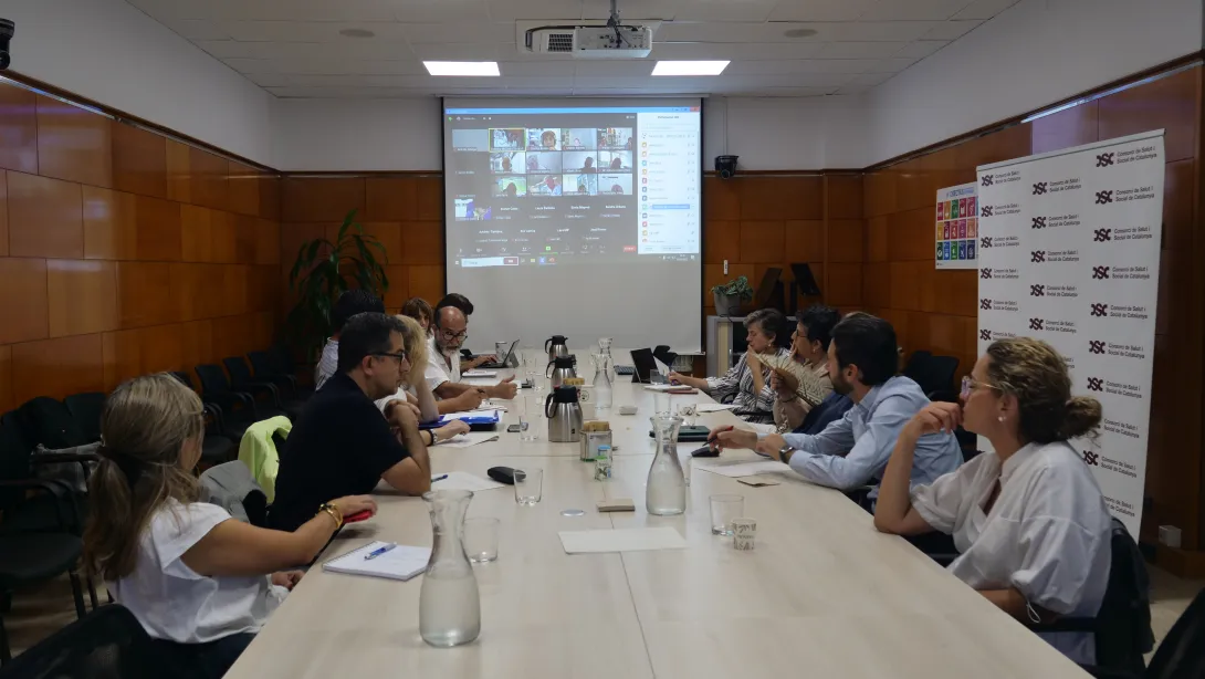 reunió comissió