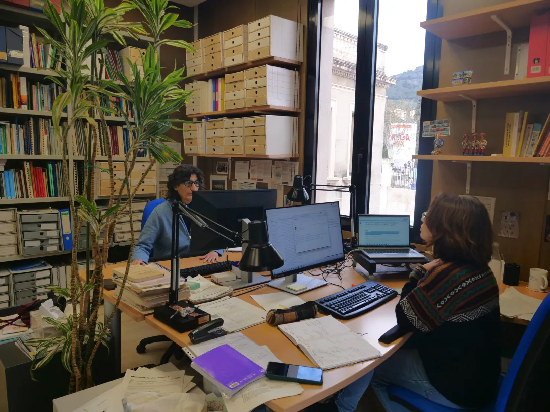 p1311915.jpg